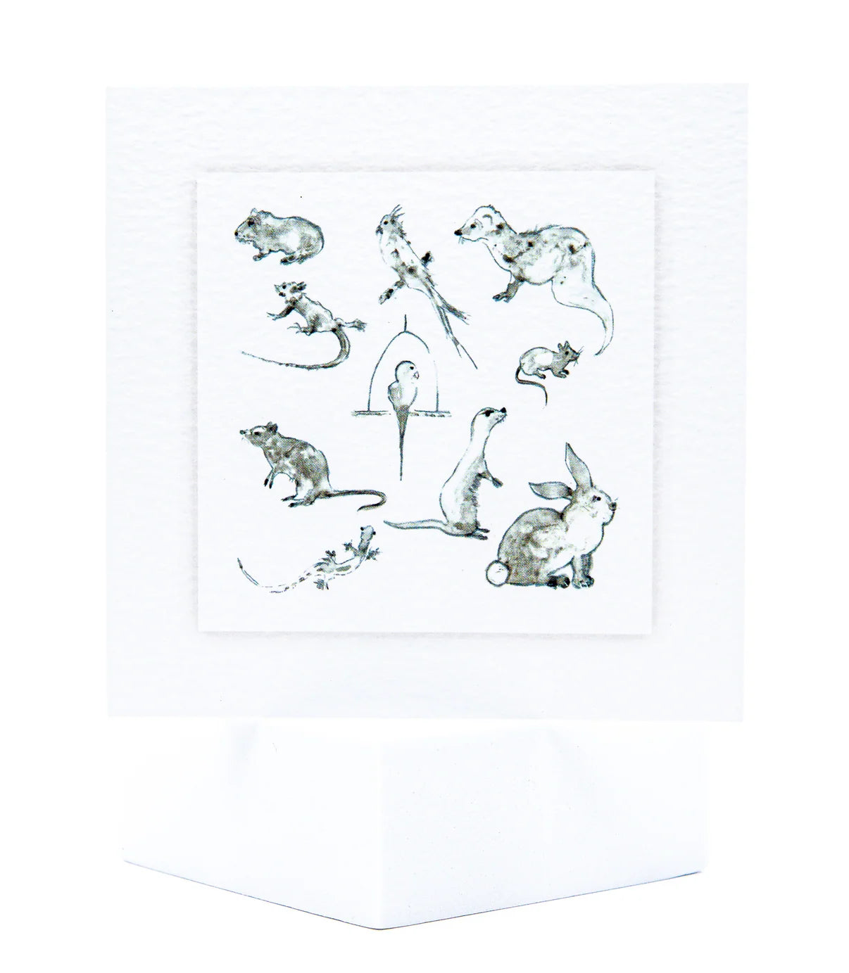 Animal Hospital Sympathy Card - Exotic Pets Mix