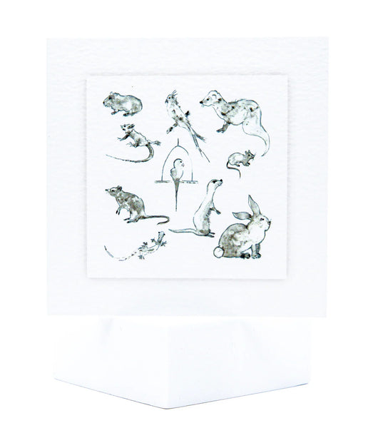 Animal Hospital Sympathy Card - Exotic Pets Mix