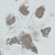 Inkless Paw & Nose Print Pack