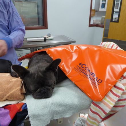 ConRad Thermal Blanket