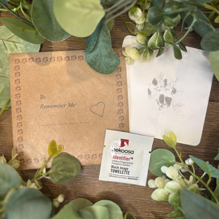 Inkless Print Kit