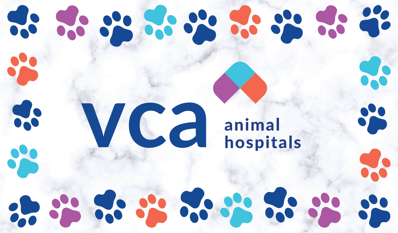 Veterinary Exam Table Mat