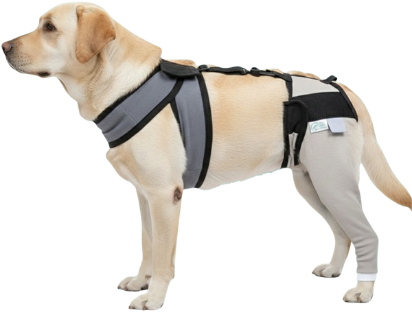 Hip and Thigh Combo with Vest