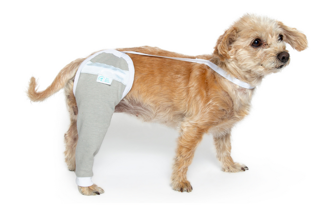 Walkee Paws - PawFlex | Paw Bandages for Dogs & Pets
