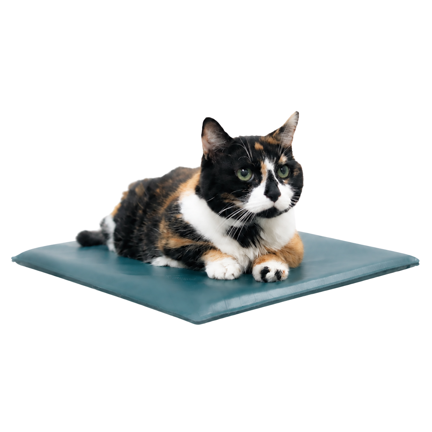 Waterproof Veterinary Mat