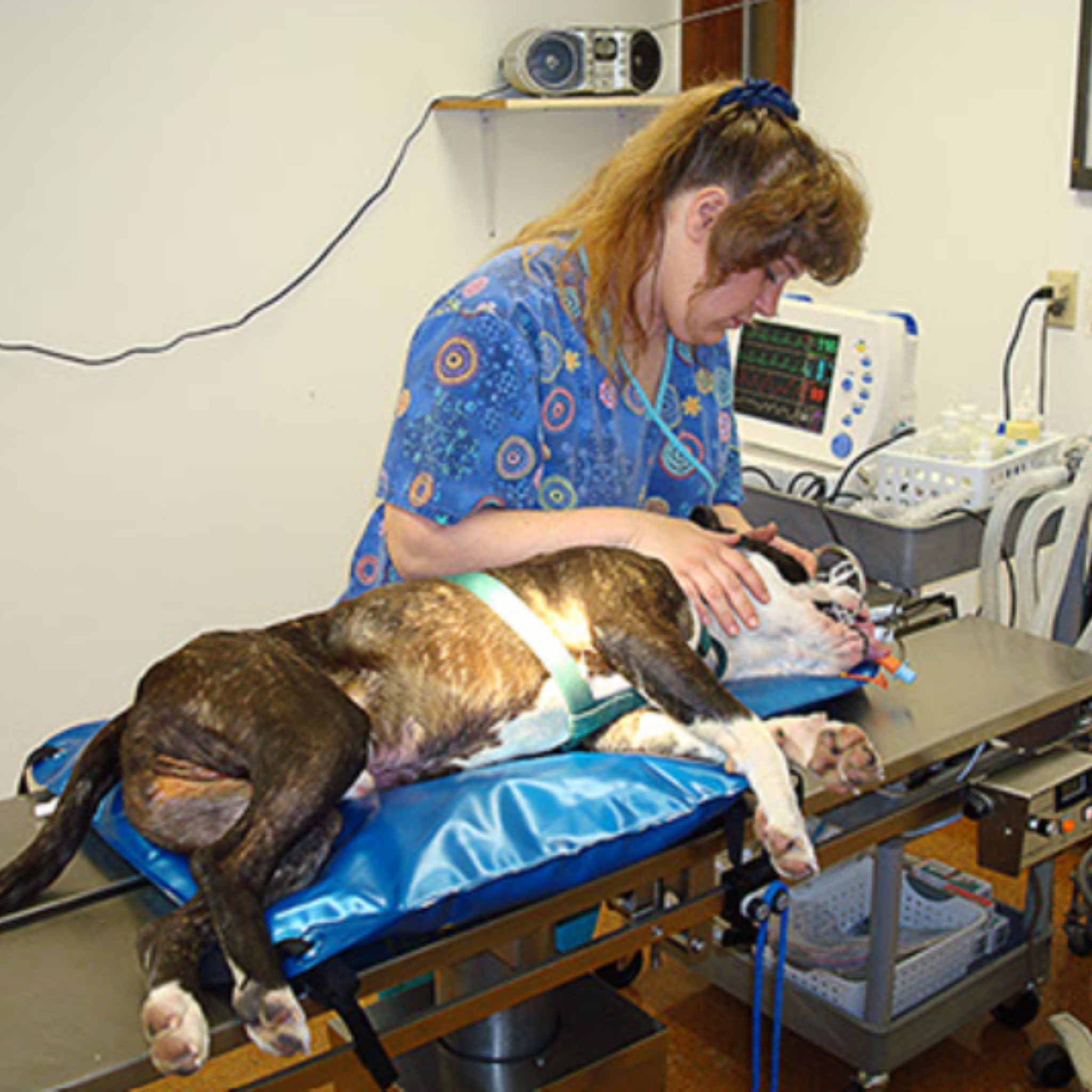 HUG-U-VAC Veterinary Positioner