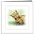 Animal Hospital Sympathy Card - Ginger Cat