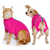 VetMedWear Recovery Suit | After Surgery Pet Clothing for Wound Protection