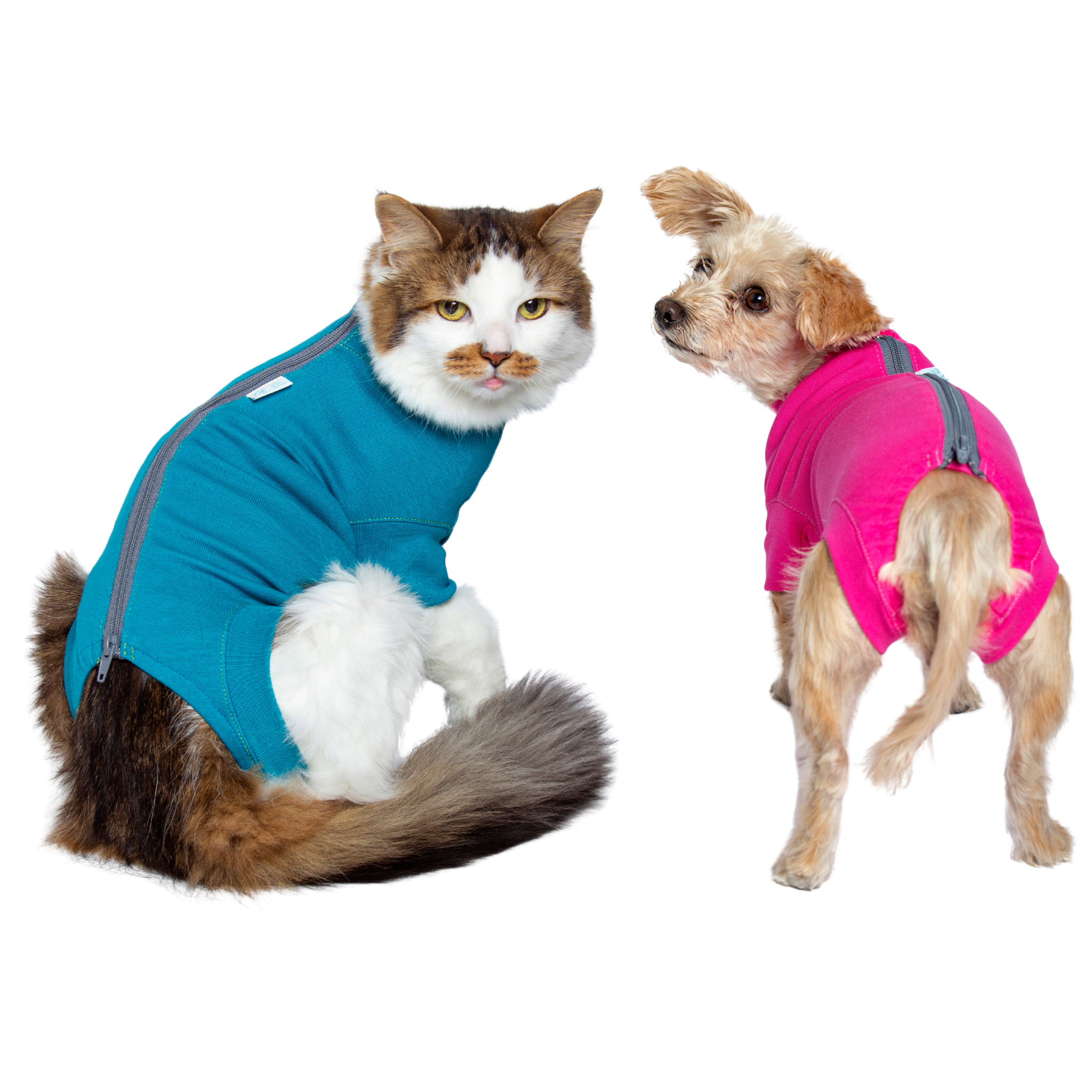 ecollar alternative cat dog vetmedwear