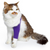 cat recovery sleeve purple