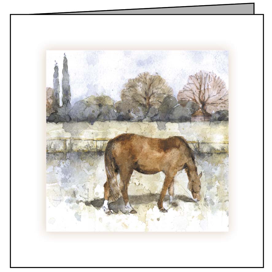 Large Animal Hospital Sympathy Card - Grazing Horse