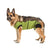ecollar alternative recovery gown pets dog green