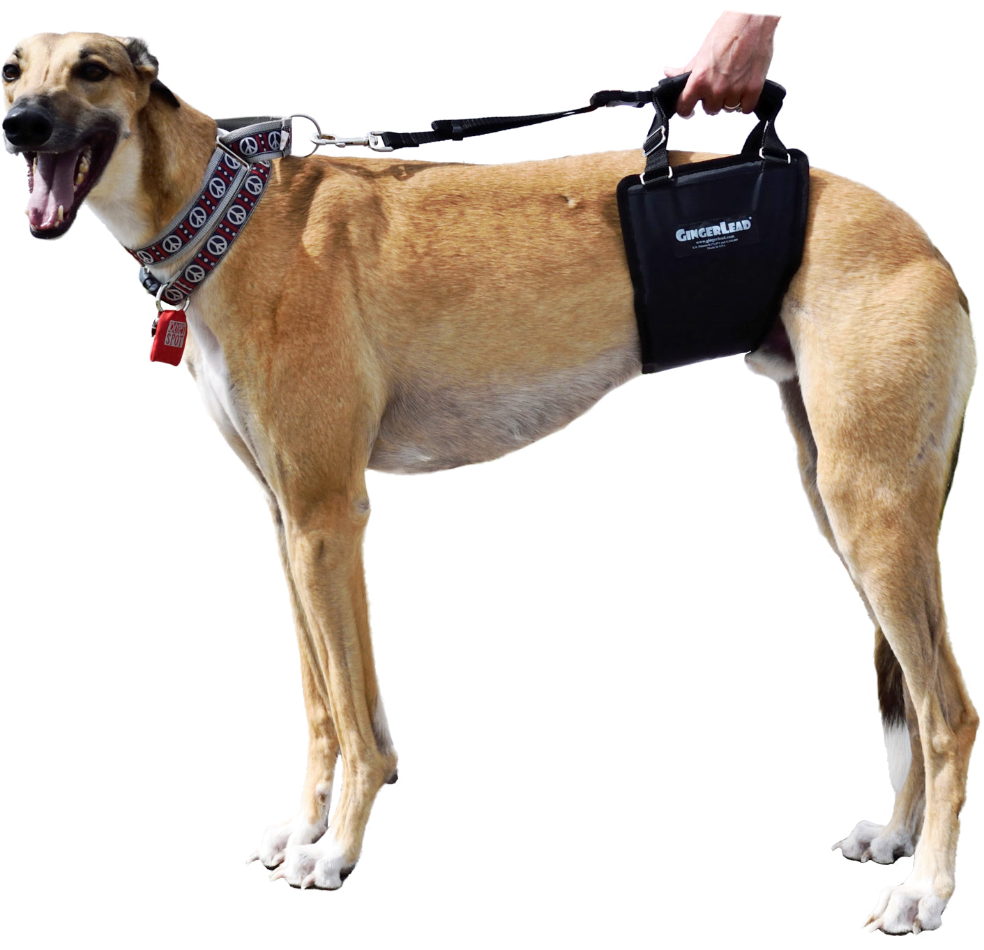 Support Rehabilitation Harness for Dogs - VetMedWear