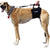 Support Rehabilitation Harness for Dogs - VetMedWear