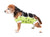 ecollar alternative recovery gown pets dog lime green