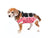 ecollar alternative recovery gown pets dog pink