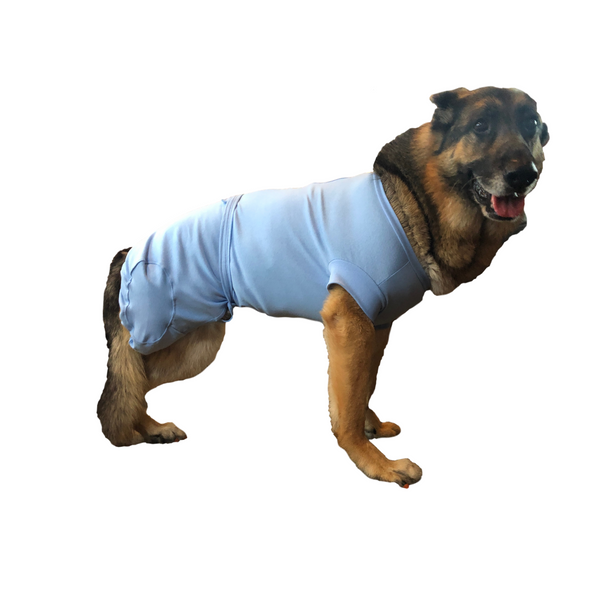 Dog recovery suit with legs hot sale
